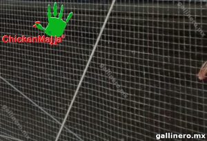 malla gallinera colocada en corral