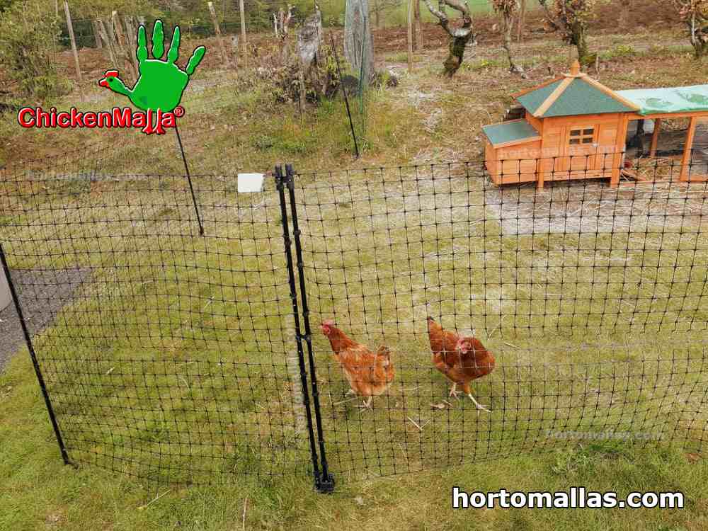 Polihardware cuidando de tus aves de corral